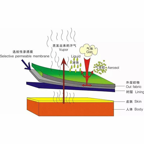 应用案例7